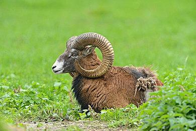 《Muv-Luv AL TE》英化翻译完毕 圣诞登陆Steam